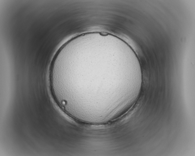 X0000111351142200907310947