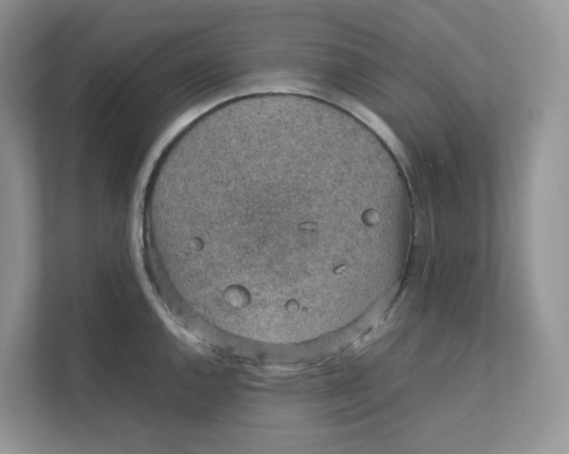 X0000111351144200907310947