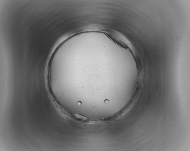 X0000111351146200907310947