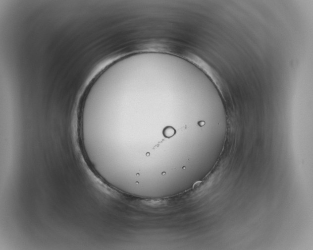 X0000111351147200907310947