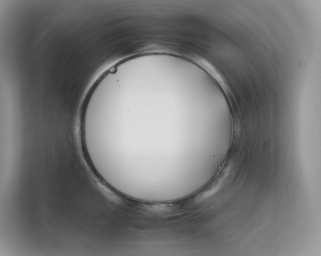 X0000111351149200907310947