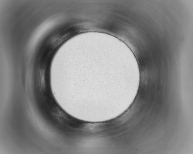 X0000111351150200907310947