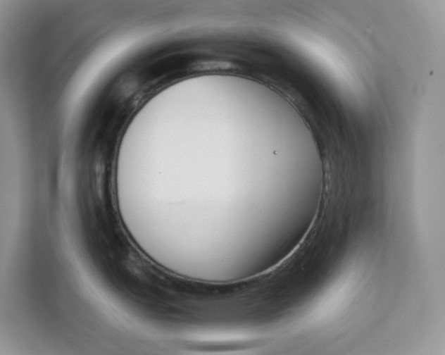 X0000111351151200907310947