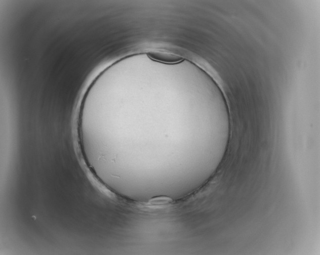 X0000111351152200907310947