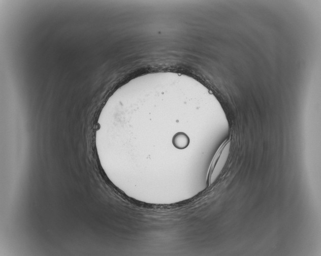 X0000111351153200907310946