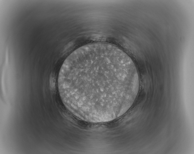 X0000111351154200907310946