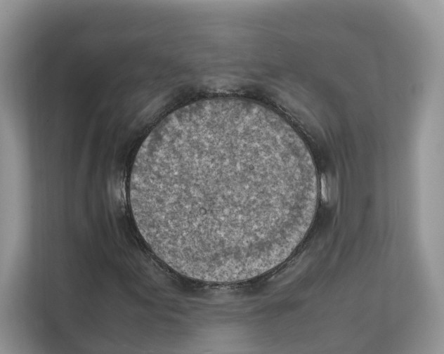 X0000111351155200907310946