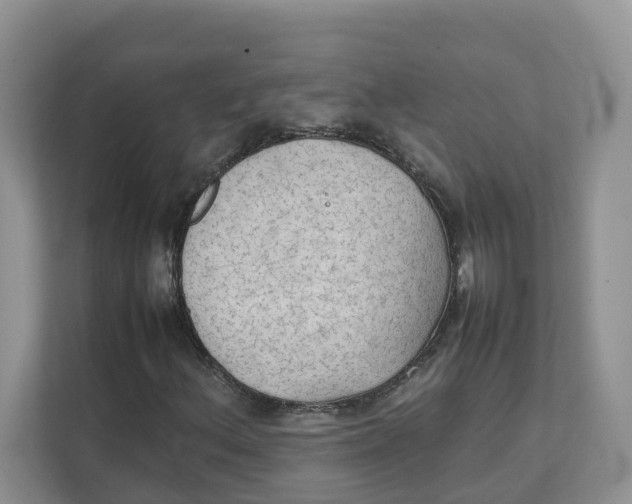 X0000111351156200907310946