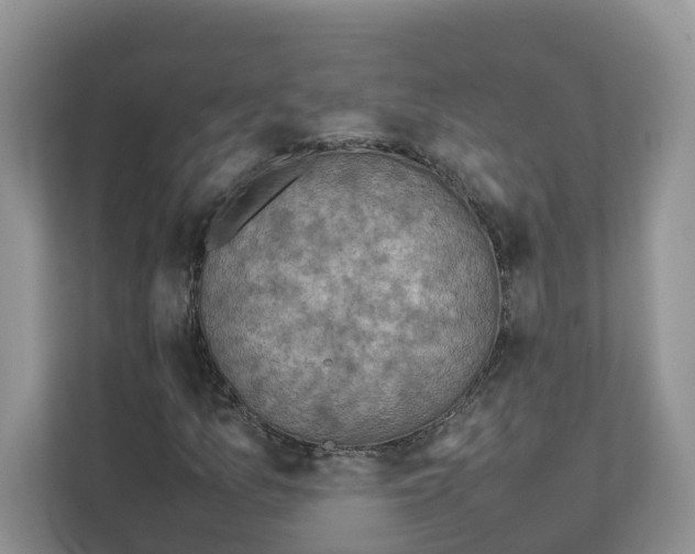 X0000111351157200907310946