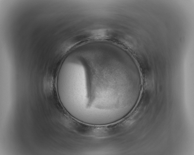 X0000111351161200907310946