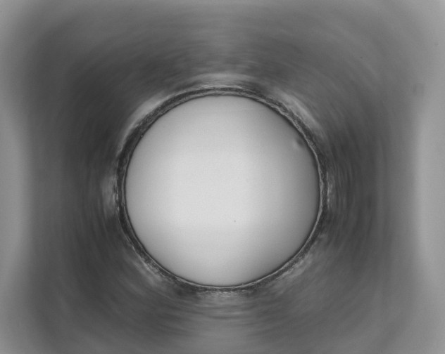 X0000111351164200907310946