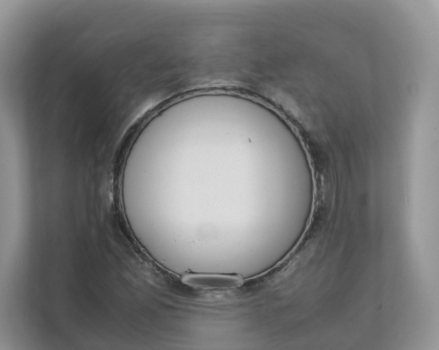 X0000111351165200907310946