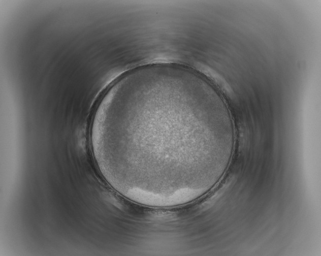 X0000111351170200907310946