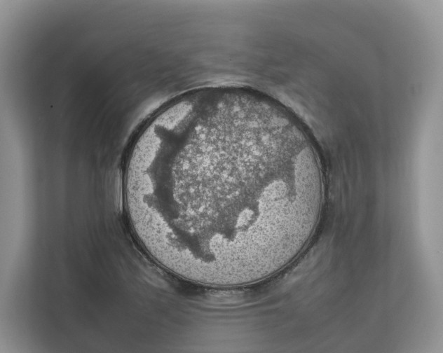 X0000111351171200907310946