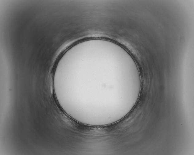 X0000111351175200907310946