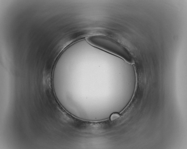 X0000111351177200907310946