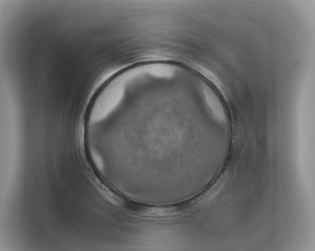 X0000111351179200907310946