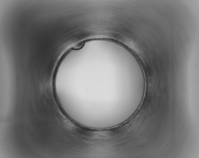 X0000111351181200907310946