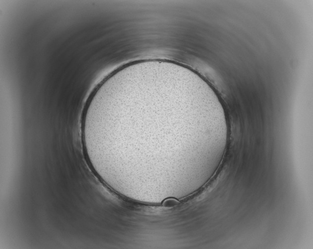 X0000111351184200907310946