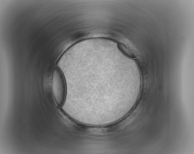 X0000111351185200907310946