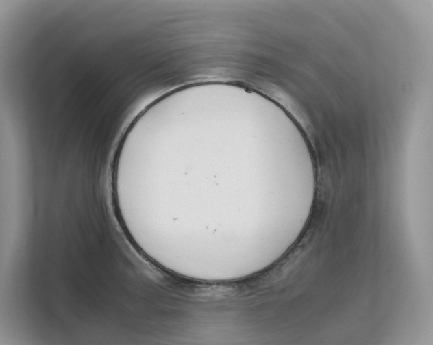 X0000111351187200907310946