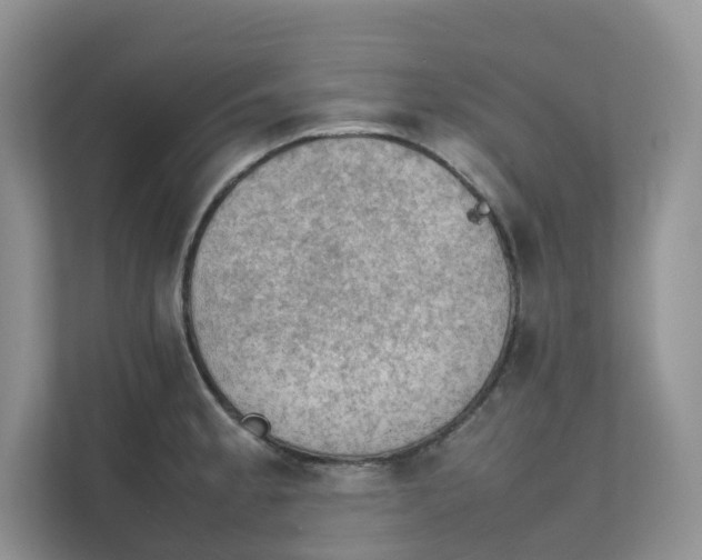 X0000111351189200907310946