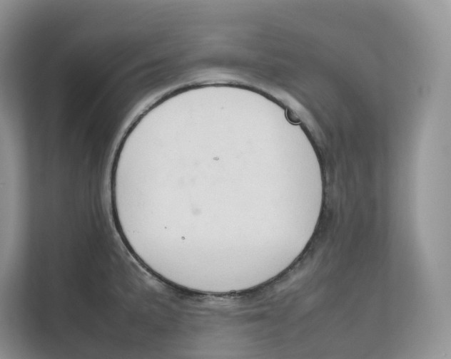 X0000111351191200907310946