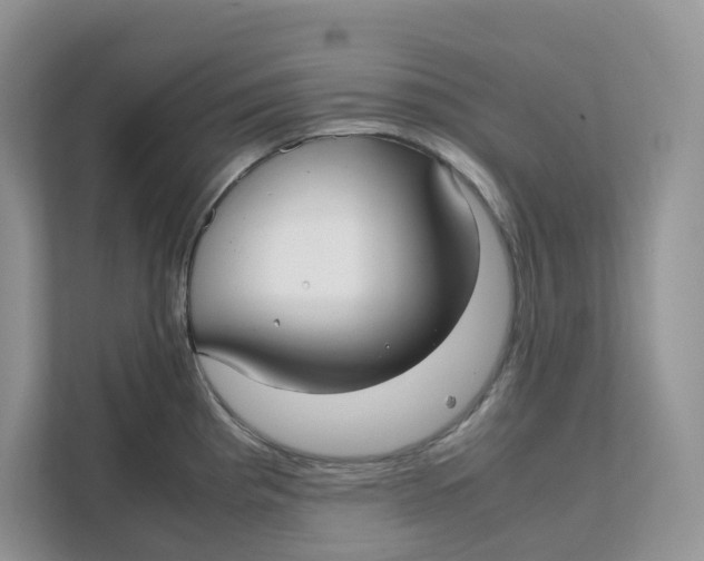 X0000111351193200907310946