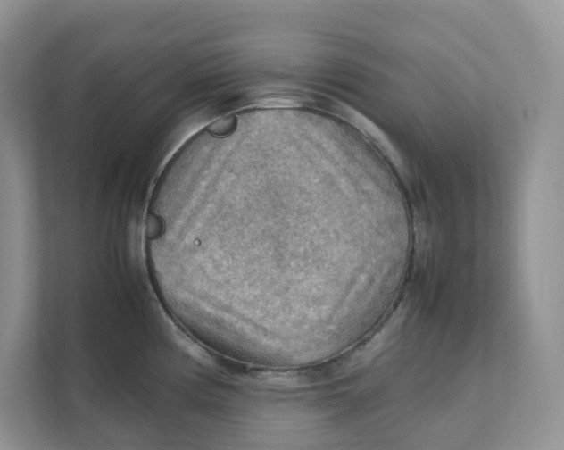 X0000111351194200907310946