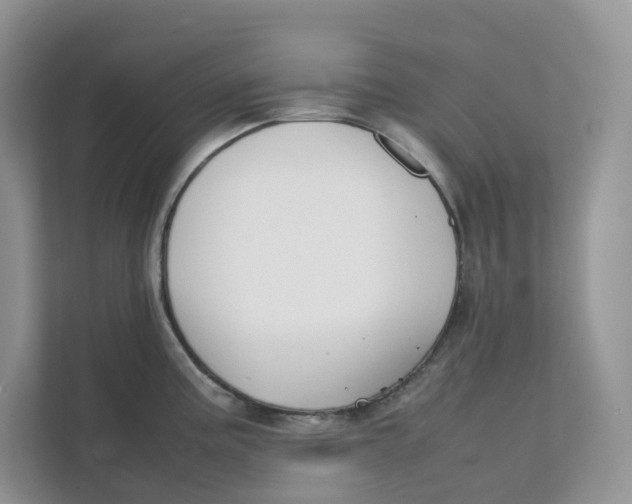 X0000111351195200907310946