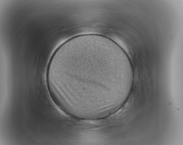 X0000111351197200907310946