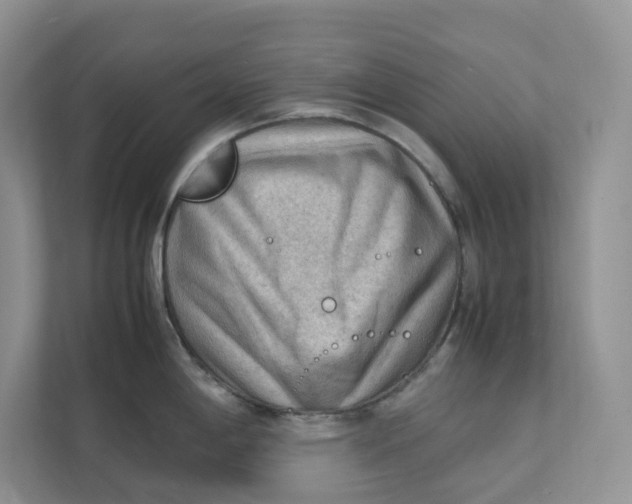 X0000111351198200907310946