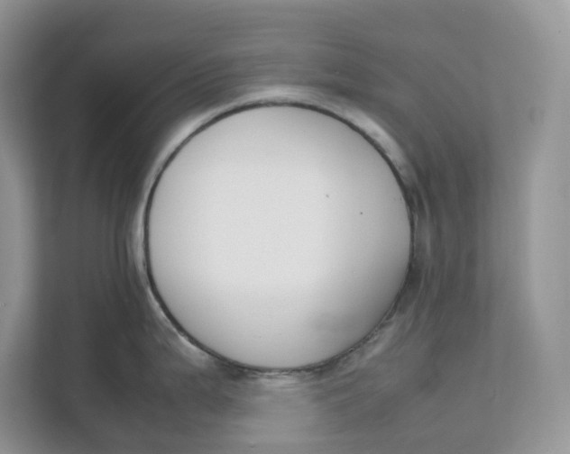 X0000111351199200907310945