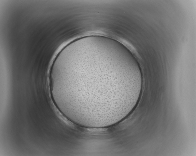 X0000111351200200907310945