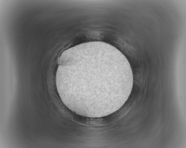 X0000111351201200907310945