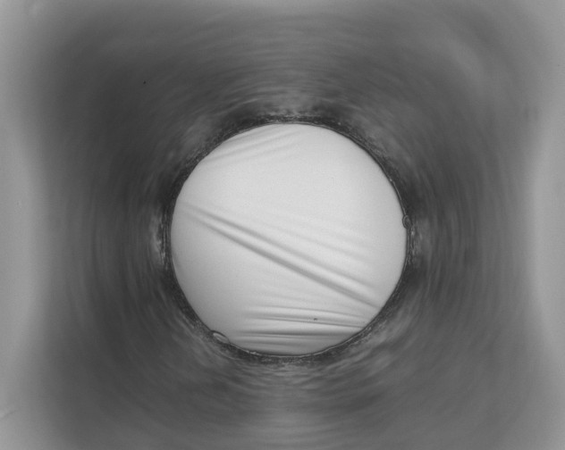 X0000111351202200907310945