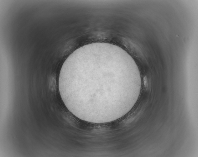 X0000111351203200907310945