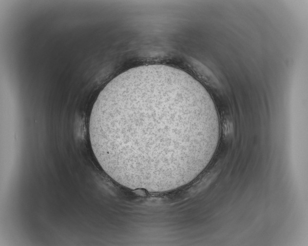 X0000111351204200907310945