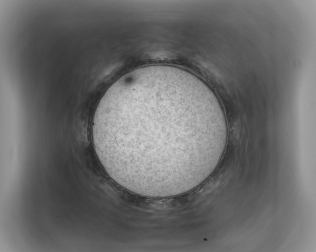 X0000111351205200907310945