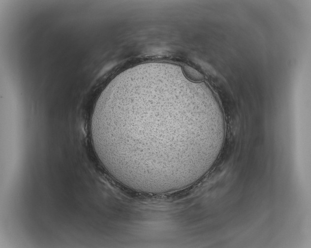 X0000111351206200907310945