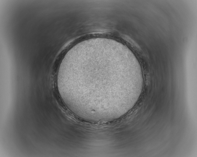 X0000111351208200907310945