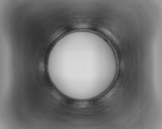 X0000111351209200907310945