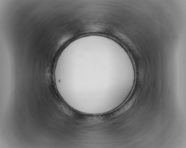 X0000111351210200907310945