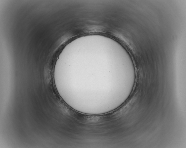 X0000111351211200907310945