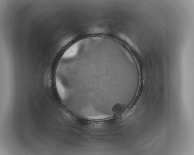 X0000111351213200907310945