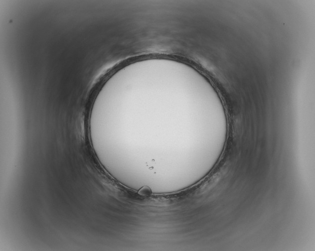 X0000111351214200907310945