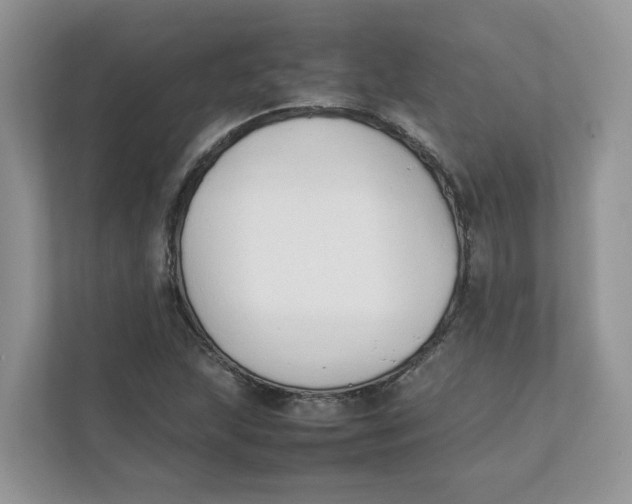 X0000111351215200907310945