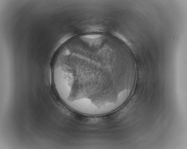 X0000111351219200907310945