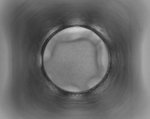 X0000111351221200907310945