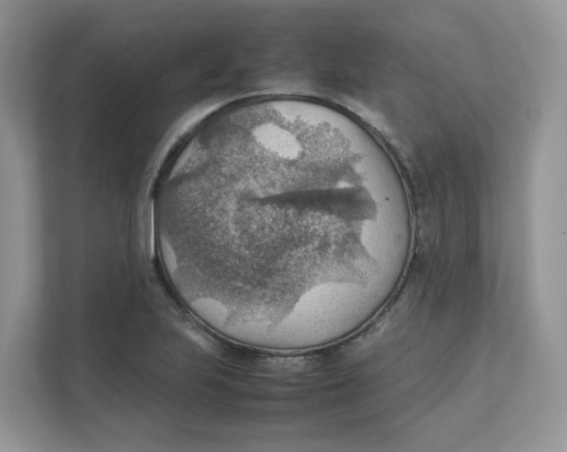 X0000111351223200907310945